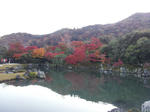 2011-11-26_15_31_12.jpg