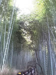 2011-11-26_15_43_05.jpg