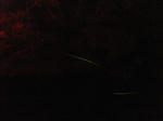 DSCF3288.JPG