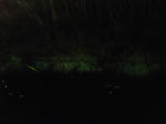 DSCF3290.JPG