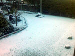 snow.jpg
