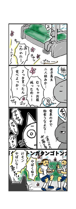17.jpg