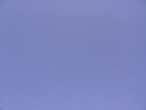 あまりにも青いので。。