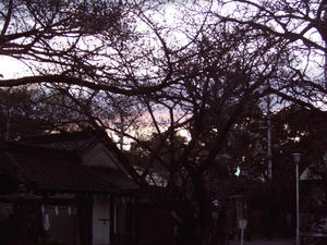 夕暮れ時の一枚
