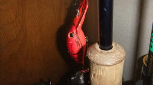 DSCF3887.jpg