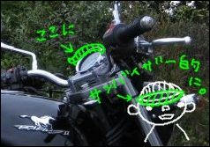 d97346a2.jpeg