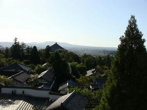 DSC01036.JPG