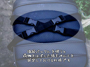 DSC00153.jpg
