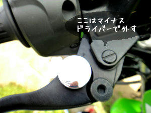 DSC00195.jpg