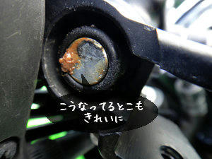 DSC00207.jpg