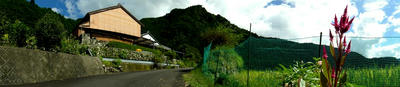 DSC00241.jpg