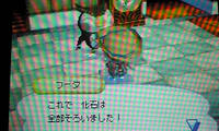かせきコンプ