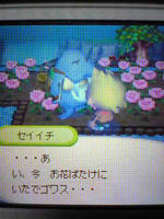 セイイチ