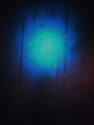 R8876786.jpg