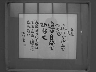 R8876778.jpg