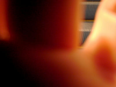 R8877815.jpg