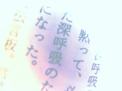 R8881392.jpg