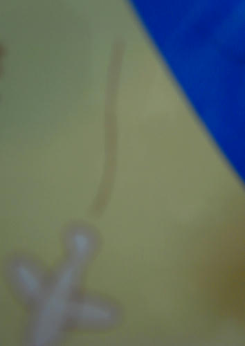 R8882354.jpg