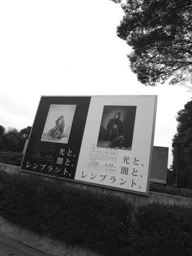 R8882372.jpg