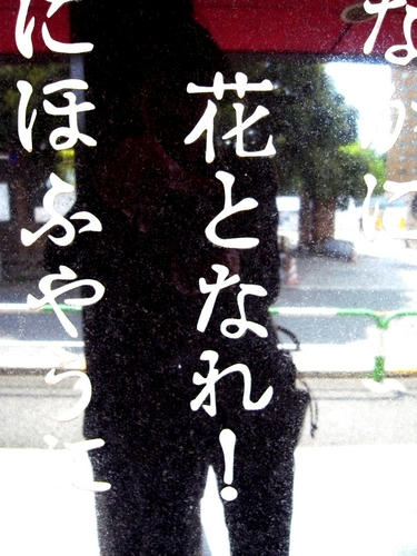 R8882429.jpg