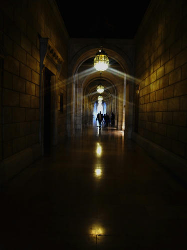 R8883700.jpg