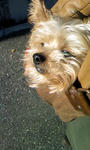081207_ami.jpg