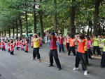 DSC01383.jpg