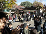 DSC02642.jpg