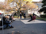 DSC02633.jpg