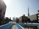DSC04081.jpg