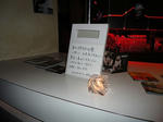 DSC04953.jpg