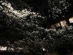 s-DSC05542.jpg