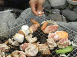 DSC05707.jpg