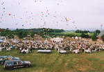71e6af97.jpg