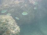135537b6.jpg