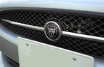 fc9911e5.jpg