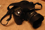 e5d723b2.JPG