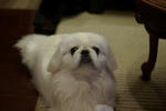 IMGP2845.JPG