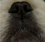 closeup.jpg