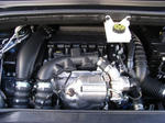 RIMG0014-1.JPG