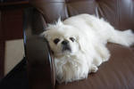 IMGP0083.JPG