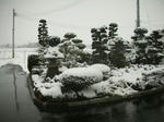 DSCN0522-2.JPG