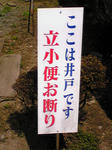 6633f8c7.jpg