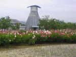 Image008.jpg