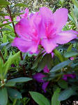 20100424132035.jpg