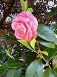 20100424132436.jpg