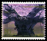 touk_4.jpg