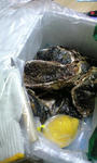 20080904192618.jpg