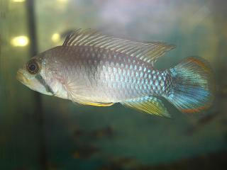 CIMG6071.JPG