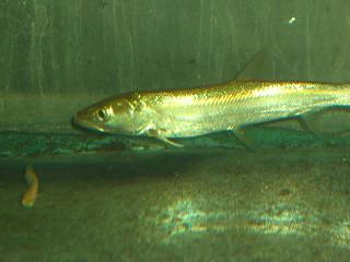 CIMG7605.JPG